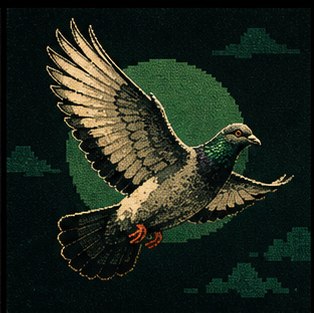 Pigeon in flight